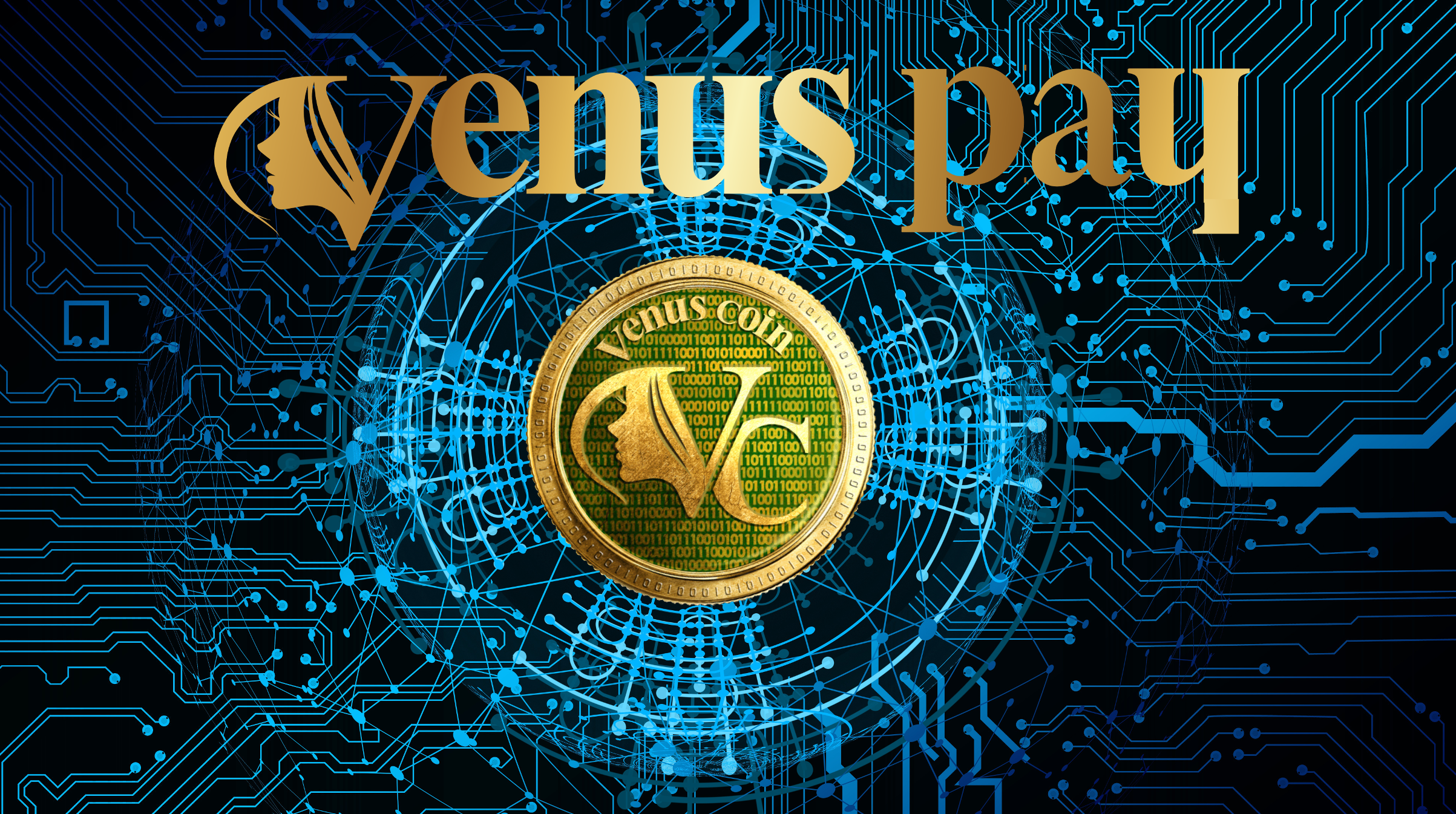 Venus Pay(ヴィーナスペイ)とは？ - Venus Pay(ヴィーナスペイ)公式サイト (旧Venus Coin)